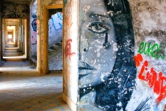 Friche de Dreux fresque