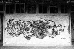 Friche de Dreux fresque