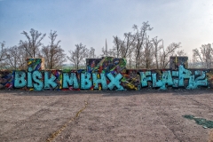 Friche de Dreux fresque