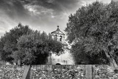 LES OLIVIERS DE SAINT PAUL