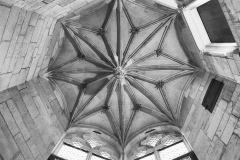 Struture architecturale